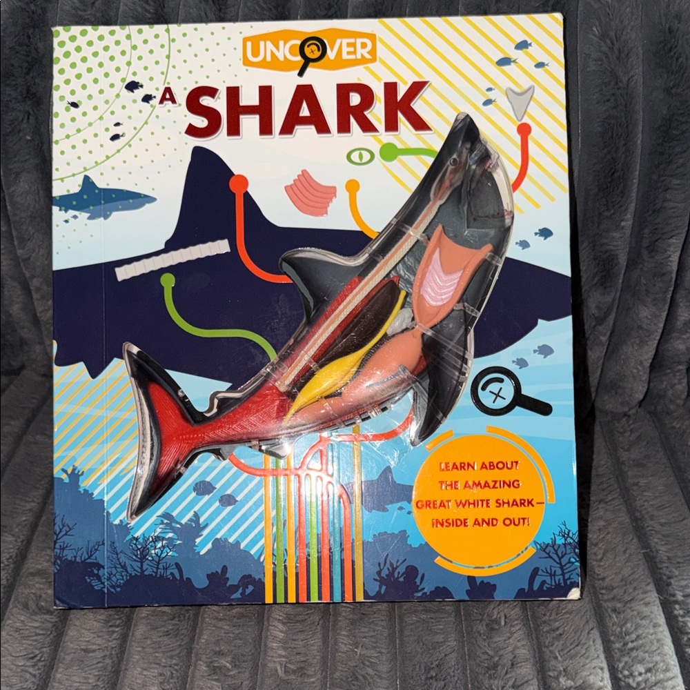 Uncover a Shark Book with 3D Model